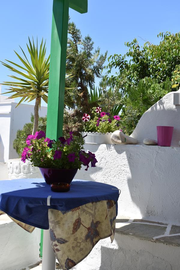 Paradise Garden Paros Писо-Ливади Экстерьер фото